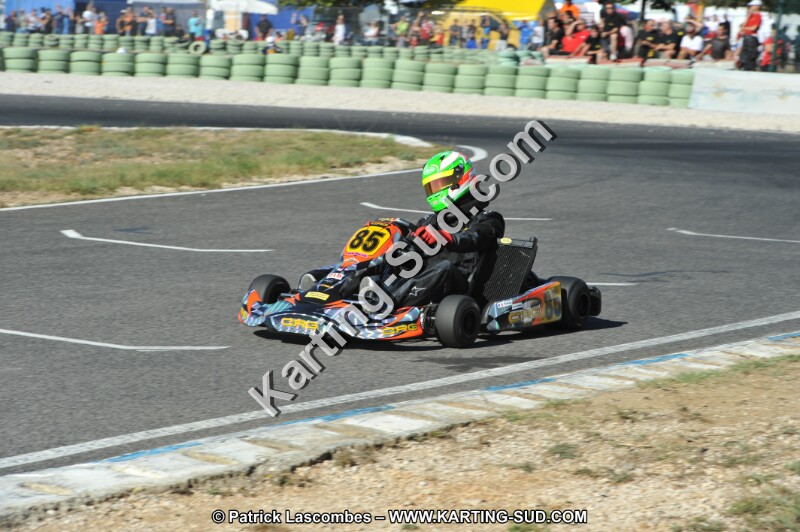 DSC (2521).JPG
